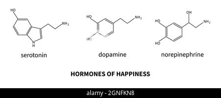 Hormones du bonheur - sérotonine, dopamine, norépinéphrine. Formule de neurotransmetteur. Cerveau et psychiatrie. Illustration vectorielle Illustration de Vecteur