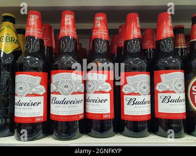 Llanelli, pays de Galles, Royaume-Uni, 6 juillet 2021 : bouteilles de bière Budweiser sur une étagère à B & M (B&M) magasin de détail à rabais à Pemberton Banque D'Images