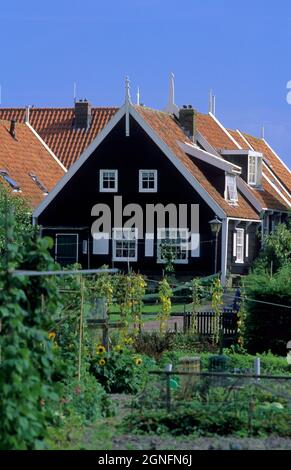 PAYS-BAS, RÉGION DE NOORD-HOLLANDE ET IJSSELMEER, VILLAGE DE MARKEN Banque D'Images