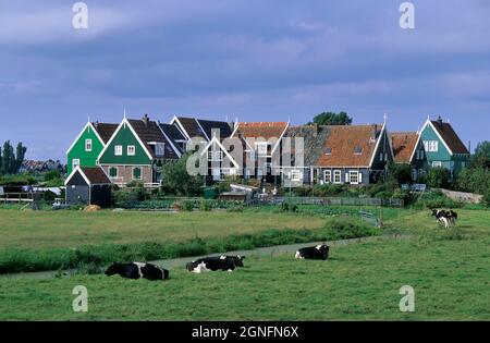 PAYS-BAS, RÉGION DE NOORD-HOLLANDE ET IJSSELMEER, VILLAGE DE MARKEN Banque D'Images