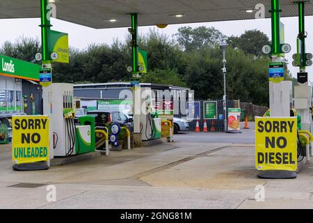 Spanish Green, Hampshire, Royaume-Uni. 25 septembre 2021. La piste de la station-service BP à Spanish Green dans le Hampshire sur l'A33 entre Basingstoke et Reading comporte de grands panneaux indiquant Désolé pas d'essence/diesel après avoir manqué d'essence et de diesel en raison des achats de panique et de la pénurie de chauffeurs de camions. Crédit photo : Graham Hunt/Alamy Live News Banque D'Images