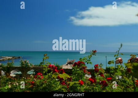 Jardin botanique de Balchik, Bulgarie, Mer Noire Banque D'Images