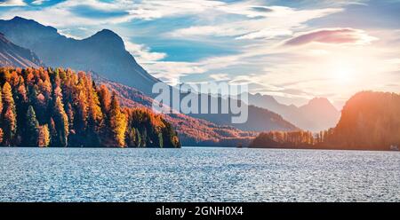 Panorama fantastique en soirée sur le lac Silvaplana. Grand coucher de soleil d'automne en Suisse, région de Maloja, canton suisse des Grisons, Europe. Beauté de la nature Banque D'Images
