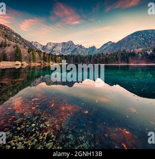 Superbe vue du matin sur le lac de Fusine. Lever de soleil d'automne coloré dans les Alpes juliennes avec le sommet de Mangart en arrière-plan, province d'Udine, Italie, Europe. Beauté de Banque D'Images