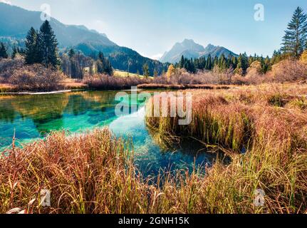 Vue ensoleillée le matin sur la réserve naturelle de Zelenci. Scène automnale colorée des Alpes juliennes, Kranjska gora, Slovénie, Europe. Beauté de la nature concept backgrou Banque D'Images