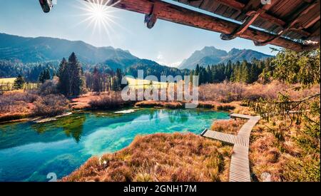 Une vue incroyable sur la réserve naturelle de Zelenci le matin. Scène d'automne ensoleillée des Alpes juliennes, Kranjska gora, Slovénie, Europe. Beauté de la nature concept backgroun Banque D'Images