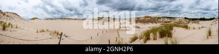 Panorama des dunes de sable absorbant la forêt dans le parc national de Słowiński en Pologne. Photo prise dans de bonnes conditions d'éclairage par temps nuageux Banque D'Images