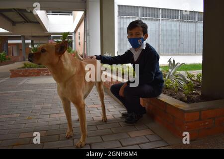 MOSQUERA, COLOMBIE - 31 août 2021: Un jeune étudiant avec un masque de sécurité assis sur la pierre avec son chien marron mignon Banque D'Images