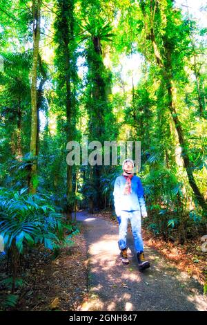 Une jeune femme active marche dans la forêt tropicale ancienne du parc national de Dorrigo. Banque D'Images