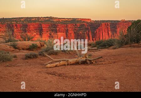 Paysage spectaculaire du désert de l'Utah au coucher du soleil. Dead Branch, formations de sable et de grès rougeâtre dans le parc national de Canyonlands Moab, Utah. Banque D'Images