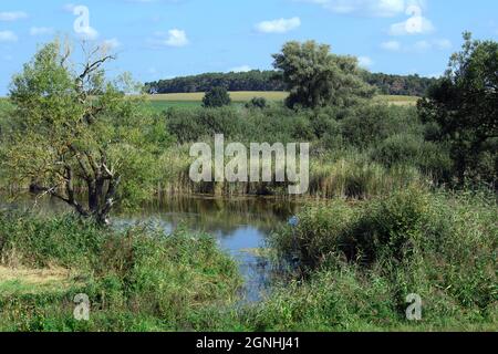 14 septembre 2021, Brandebourg, Beetzseeheide/OT Ketzür: Un petit lac est maintenant situé là où une fosse d'argile était près du village au XIXe siècle. Dans la région il y avait environ 58 briqueteries au Beetzsee, qui transportaient leurs briques à Berlin par l'eau. Le village sur le Beetzsee fut indépendant jusqu'à la fin de 2002, quand il fut uni avec deux villages voisins pour former la municipalité de Beetzseeheide. Le manoir du XVIe siècle, l'église du village du XIIIe siècle et les bâtiments historiques du centre du village méritent d'être admiré. Photo: Soeren Stache/dpa-Zentralbild/ZB Banque D'Images