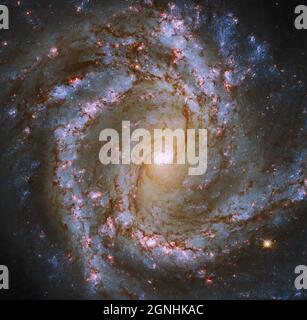 M61 une galaxie spirale dans la grappe galactique de Virgo. Source de l'image télescope spatial NASA/ESA Hubble Banque D'Images