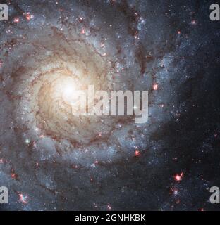 Messier 74, également appelé NGC 628, est un exemple étonnant d'une galaxie spirale « grand design » qui est vue presque face à face par les observateurs de la Terre. Ses bras en spirale parfaitement symétriques émanent du noyau central et sont parsemés de groupes de jeunes étoiles bleues et de régions roses brillantes d'hydrogène ionisé . Source de l'image télescope spatial NASA/ESA Hubble Banque D'Images