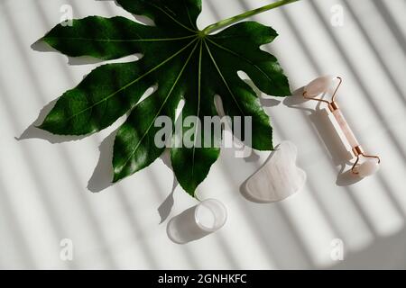 Grattoir de gouache rose, rouleau, pot de crème de feuille verte sur une table blanche. Équipement pour l'auto-massage et les soins de la peau pour le visage et le cou Banque D'Images