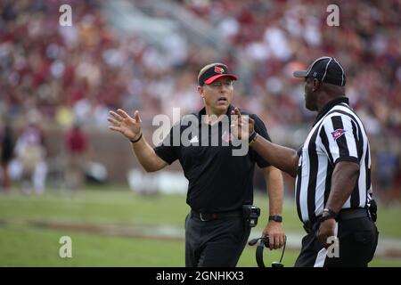 25 septembre 2021 : l'entraîneur-chef des Louisville Cardinals, Scott Satterfield, interroge un appel lors du match de football de la NCAA entre les Louisville Cardinals et les Florida State Seminoles au Doak Campbell Stadium Tallahassee, FL. Louisville bat l'État de Floride 31 à 23. Jonathan Huff/CSM. Banque D'Images