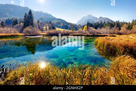 Scène automnale pittoresque des Alpes juliennes avec le pic de Kranjska gora en arrière-plan. Magnifique vue du matin sur la réserve naturelle de Zelenci, Slovénie, Europe. BEA Banque D'Images