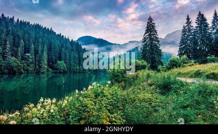Scène matinale spectaculaire du lac Lacu Rosu. Lever de soleil brumeux dans le comté de Harghita, Roumanie, Europe. Beauté de la nature concept fond. Banque D'Images