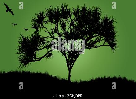 Un arbre de pandanus avec fond vert Illustration de Vecteur