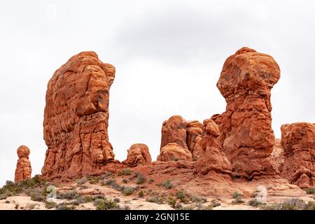 parade des éléphants, arches parc national desert rock vista moab utah usa Banque D'Images