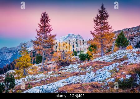 Vue splendide du haut de la montagne avec col Falzarego Lagazuoi. Matin d'automne dans les Alpes dolomitiques, Cortina d'Ampezzo, Italie, lacattion l'Europe. Banque D'Images