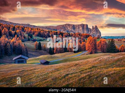 Magnifique vue d'automne de l'Alpe di Siusi avec de beaux mélèzes jaunes et la montagne Schlern (Sciliar) en arrière-plan. Scène matinale colorée de Dolomi Banque D'Images