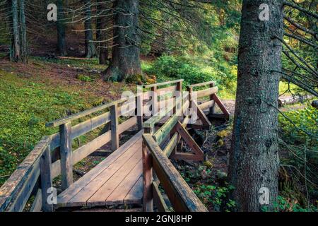 Passerelle en bois dans la fabuleuse forêt, Black Lake (Crno Jezero) location.Mistycal scène d'été de Durmitor Nacionalni Park, Zabljak emplacement, Monte Banque D'Images