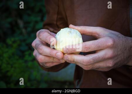 l'homme tient dans les mains des fruits orange ronds pelés Banque D'Images