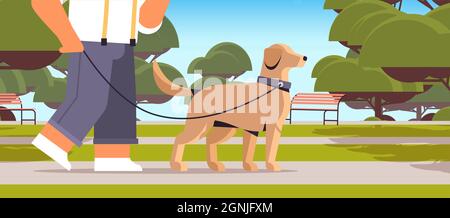 jeune homme marchant avec un chien dans le parc propriétaire mâle et adorable animal domestique amitié avec le concept d'animal de compagnie Illustration de Vecteur