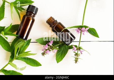 deux bouteilles médicales avec extrata à la menthe sur fond de bois blanc avec feuilles et fleurs de menthe verte. vue du dessus Banque D'Images