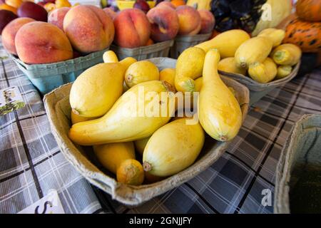 Courge jaune au premier plan avec pêches, prunes et autres produits à l'arrière-plan sur le marché d'un agriculteur. Banque D'Images