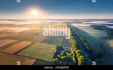 Vue depuis un drone volant. Incroyable scène matinale de la campagne ukrainienne avec champ de blé et route. Lever de soleil d'été étonnant à la périphérie de Ter Banque D'Images