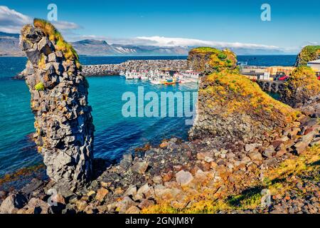 Vue incroyable du petit village de pêcheurs au pied du mont Stapafell - Arnarstapi ou Stapi. Fantastique scène estivale de la campagne islandaise. Banque D'Images
