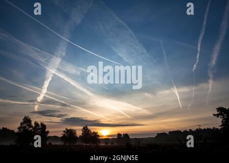 Sentiers de condensation au-dessus de la lande de Wahner, Troisdorf, Rhénanie-du-Nord-Westphalie, Allemagne. Kondensstreifen ueber der Wahner Heide, Troisdorf, Nordrhein- Banque D'Images