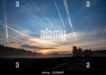 Sentiers de condensation au-dessus de la lande de Wahner, Troisdorf, Rhénanie-du-Nord-Westphalie, Allemagne. Kondensstreifen ueber der Wahner Heide, Troisdorf, Nordrhein- Banque D'Images