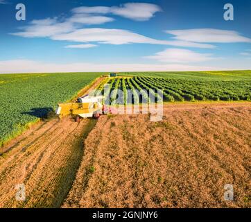 Moissonneuse-batteuse sur le champ de blé. Vue d'été colorée depuis un drone volant de récolte de blé. Scène rurale pittoresque à la périphérie de Ternopil, Royaume-Uni Banque D'Images