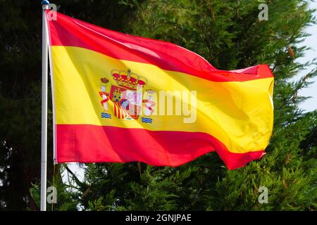 Drapeau de l'Espagne flotte dans le vent sur un fond de pins Banque D'Images