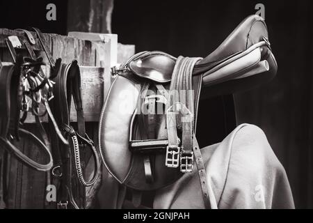 Image en noir et blanc d'une selle en cuir avec des boucles sur les sangles, des brides de bride et des étriers suspendus près d'une cale en bois dans l'écurie. Cheval Banque D'Images