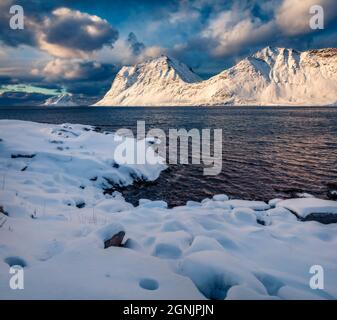 Vue d'hiver à couper le souffle sur les îles Lofoten, la Norvège, l'Europe. Majestueux matin scène de la destination touristique populaire - plage de Skagsanden, Flakstadoya isl Banque D'Images