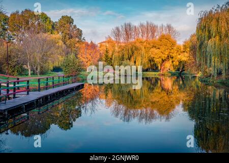 Belle scène automnale du parc de la ville. Magnifique vue du matin sur les orangers de la place Ternopil publik, Ukraine, Europe. Rive vide du lac de la ville. BEA Banque D'Images