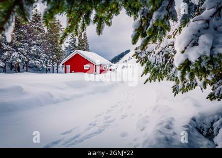 Arrière-plan de Noël. Photographie de paysage. Maison en bois rouge en Norvège. Pittoresque scène d'hiver des îles Lofoten. Magnifique paysage d'hiver. Banque D'Images