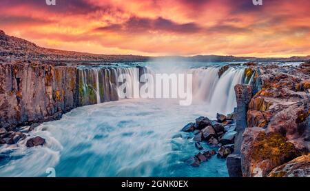 Vue spectaculaire sur la chute d'eau de Selfoss en été. Lever de soleil impressionnant sur la rivière Jokulsa a Fjollum, parc national de Jokulsargljufur. Belle scène matinale de Banque D'Images