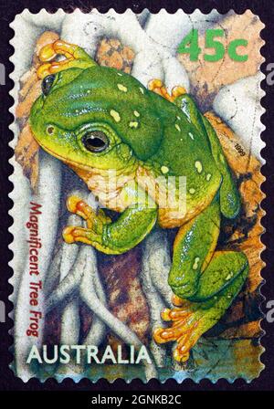 AUSTRALIE - VERS 1999 : un timbre imprimé en Australie montre la magnifique grenouille des arbres, Litoria Splendida, Amphibien, vers 1999 Banque D'Images