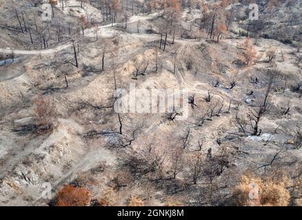 Jardin de fruits détruit par un feu de forêt. Zone rurale, paysage aérien avec des arbres brûlés et séchés Banque D'Images