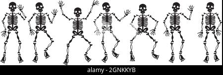 Ensemble de squelettes d'halloween sur fond blanc - illustration vectorielle Illustration de Vecteur