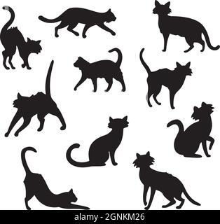 Collection de 10 chats noirs d'Halloween sur fond blanc - illustration vectorielle Illustration de Vecteur