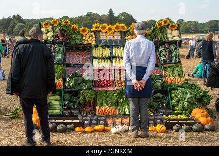 Waltham St Lawrence, Royaume-Uni. 26 septembre 2021. C'était une belle journée ensoleillée, alors que des tracteurs modernes et anciens l'ont combattue lors du match de labour annuel de la Royal East Berkshire Agricultural Association à Church Farm. Il y a eu une vente aux enchères de légumes et de fruits cultivés par les agriculteurs locaux. Les clients ont profité d'un spectacle canin, de la fauconnerie et d'une journée sous le soleil d'automne. Crédit : Maureen McLean/Alay Live News Banque D'Images