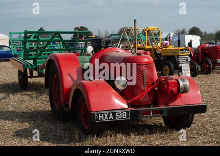 Waltham St Lawrence, Royaume-Uni. 26 septembre 2021. C'était une belle journée ensoleillée, alors que des tracteurs modernes et anciens l'ont combattue lors du match de labour annuel de la Royal East Berkshire Agricultural Association à Church Farm. Il y a eu une vente aux enchères de légumes et de fruits cultivés par les agriculteurs locaux. Les clients ont profité d'un spectacle canin, de la fauconnerie et d'une journée sous le soleil d'automne. Crédit : Maureen McLean/Alay Live News Banque D'Images