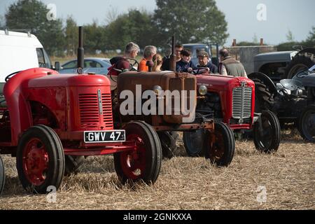 Waltham St Lawrence, Royaume-Uni. 26 septembre 2021. C'était une belle journée ensoleillée, alors que des tracteurs modernes et anciens l'ont combattue lors du match de labour annuel de la Royal East Berkshire Agricultural Association à Church Farm. Il y a eu une vente aux enchères de légumes et de fruits cultivés par les agriculteurs locaux. Les clients ont profité d'un spectacle canin, de la fauconnerie et d'une journée sous le soleil d'automne. Crédit : Maureen McLean/Alay Live News Banque D'Images