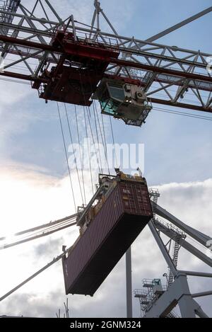 Southampton, Angleterre, Royaume-Uni. 2021. Grue à conteneur navire à terre retrait d'un conteneur d'un navire à conteneur. Port de Southampton. Banque D'Images