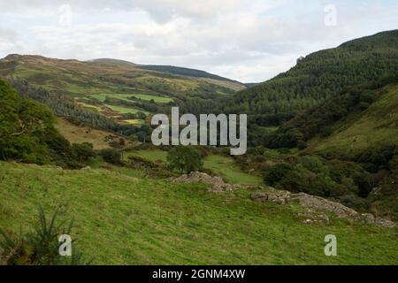 Collines verdoyantes et vallées dans la campagne galloise avec des murs de pierre et des forêts Banque D'Images